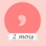 Le 2ème mois de grossesse