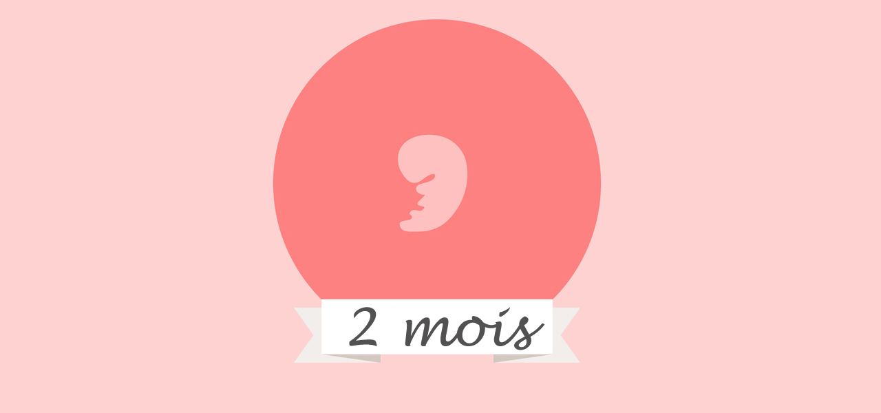 Le 2ème mois de grossesse