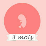 Le 3ème mois de grossesse