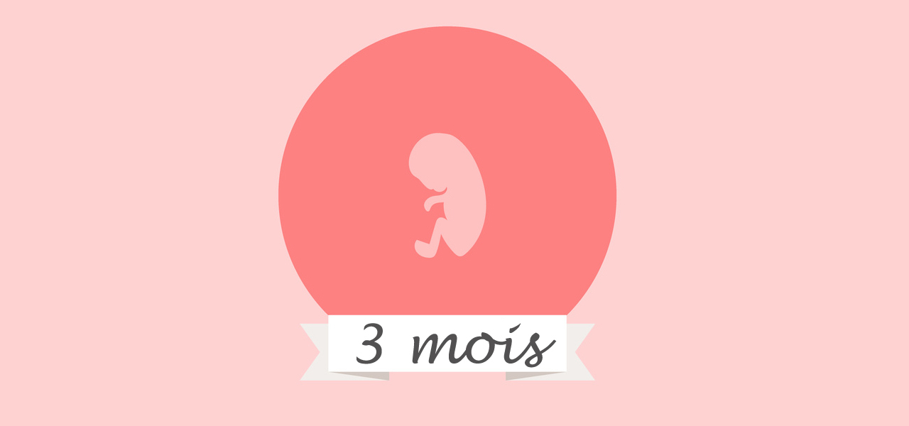 Le 3ème mois de grossesse