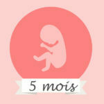Le 5ème mois de grossesse
