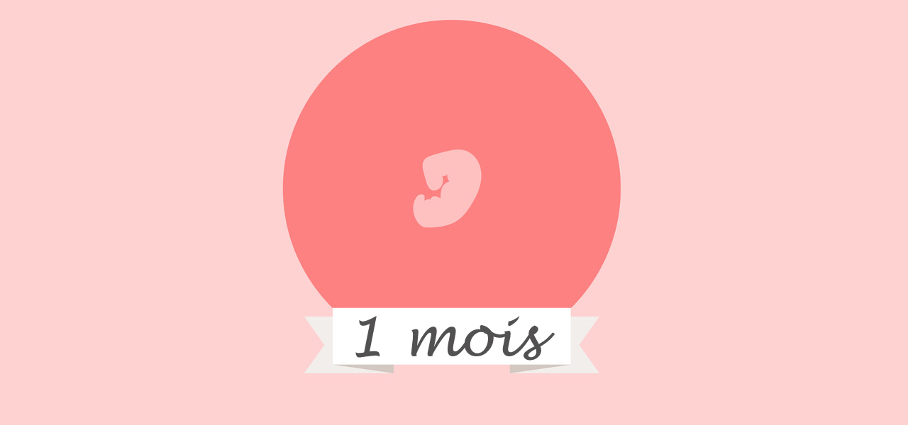 Premier mois de grossesse
