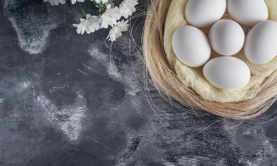 Choline bienfaits intellectuels de Bébé