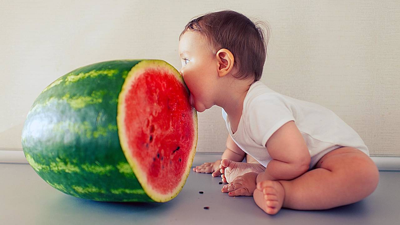 Alimentation bébé de 6 mois