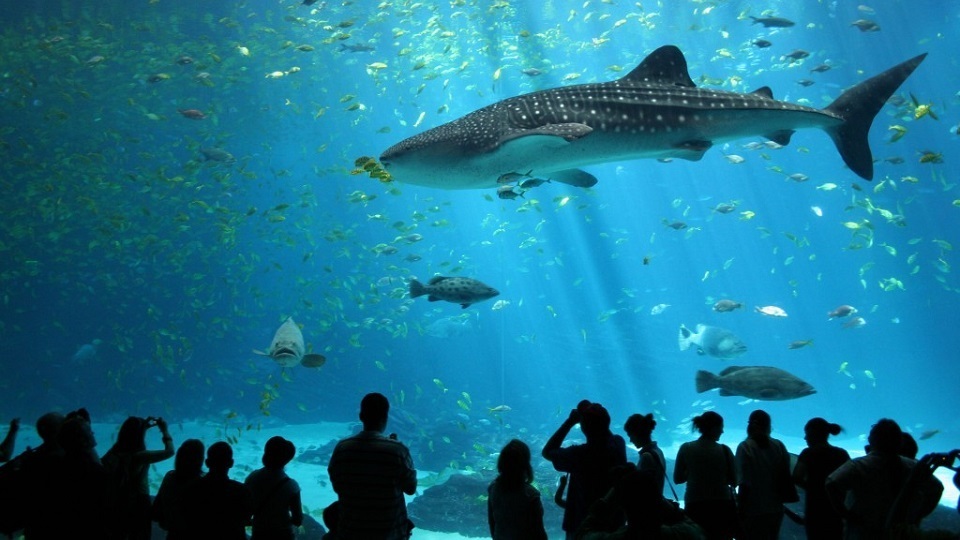 aquarium de biarritz