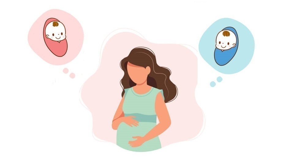 Calendrier chinois grossesse - Prédiction du sexe de bébé