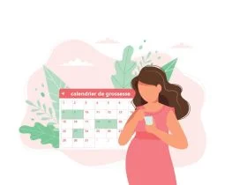 Calendrier de grossesse personnalisé