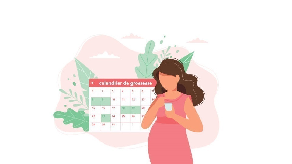 Calendrier de grossesse personnalisé