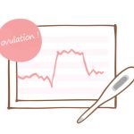Courbe de températures - Détection de l'ovulation