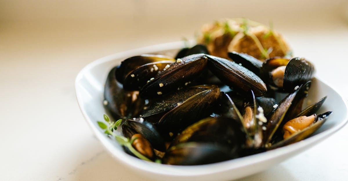 découvrez tout ce que vous devez savoir sur les moules, un délicieux fruit de mer à déguster en diverses préparations, avec nos recettes et conseils.