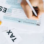 découvrez adeline toniutti, une artiste passionnée et talentueuse, spécialisée dans la création artistique et l'expression créative.