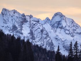 découvrez les mystères entourant les disparitions mystérieuses et les enquêtes captivantes qui les révèlent.