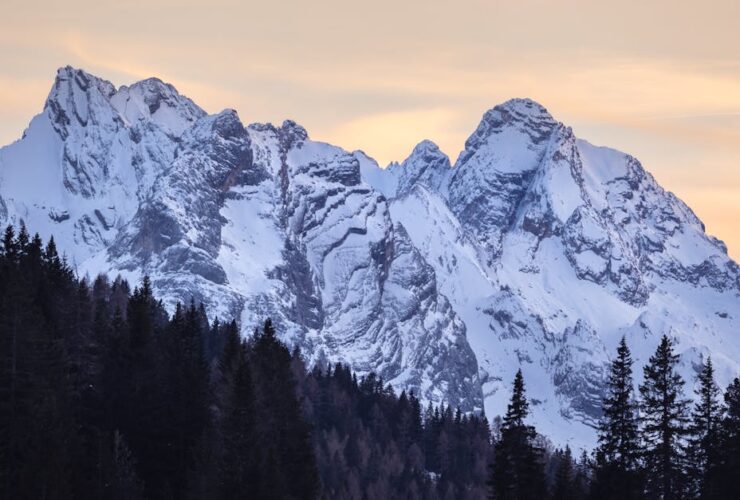 découvrez les mystères entourant les disparitions mystérieuses et les enquêtes captivantes qui les révèlent.