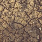 duphaston est un médicament utilisé pour traiter les troubles liés au déficit en progestérone, comme les troubles menstruels, les risques de fausse couche et les déséquilibres hormonaux.