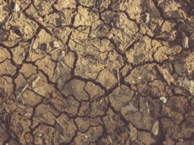 duphaston est un médicament utilisé pour traiter les troubles liés au déficit en progestérone, comme les troubles menstruels, les risques de fausse couche et les déséquilibres hormonaux.