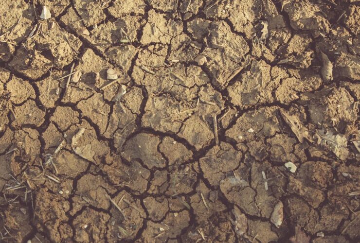 duphaston est un médicament utilisé pour traiter les troubles liés au déficit en progestérone, comme les troubles menstruels, les risques de fausse couche et les déséquilibres hormonaux.