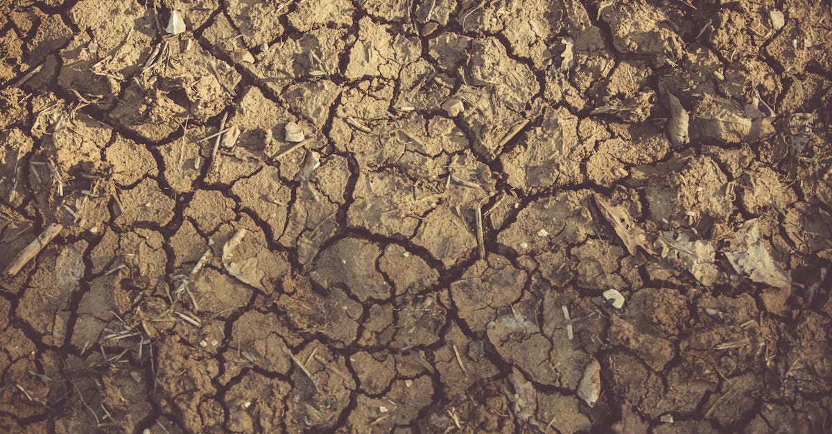 duphaston est un médicament utilisé pour traiter les troubles liés au déficit en progestérone, comme les troubles menstruels, les risques de fausse couche et les déséquilibres hormonaux.