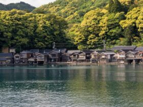 découvrez une liste de prénoms féminins se terminant par 'a' ou 'ine', parfaits pour trouver un joli prénom original et élégant pour votre fille.