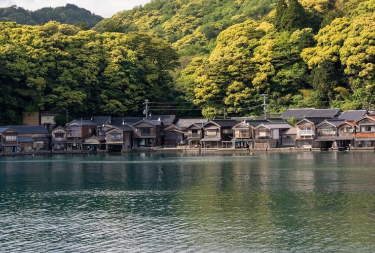 découvrez une liste de prénoms féminins se terminant par 'a' ou 'ine', parfaits pour trouver un joli prénom original et élégant pour votre fille.