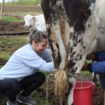 découvrez gulmik in milk, une délicieuse recette fusionnant la douceur du lait avec la saveur unique de gulmik. parfait pour un moment gourmand et réconfortant.