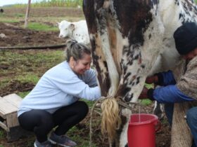 découvrez gulmik in milk, une délicieuse recette fusionnant la douceur du lait avec la saveur unique de gulmik. parfait pour un moment gourmand et réconfortant.
