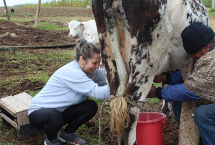 découvrez gulmik in milk, une délicieuse recette fusionnant la douceur du lait avec la saveur unique de gulmik. parfait pour un moment gourmand et réconfortant.