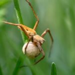 découvrez ce qu'est un sac ovulaire hypotone, ses causes, son impact sur la grossesse et les options de prise en charge médicale.