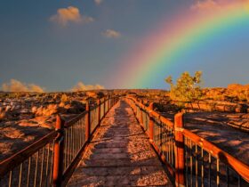 inofolic est un complément alimentaire conçu pour soutenir la fertilité et la santé reproductive grâce à une combinaison optimale d'acide folique et d'inositol.