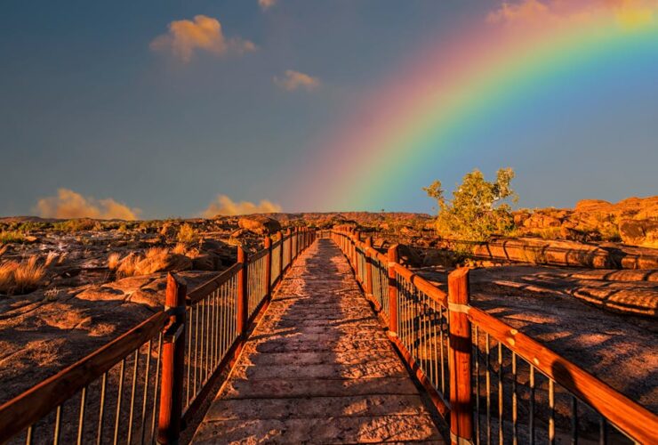 inofolic est un complément alimentaire conçu pour soutenir la fertilité et la santé reproductive grâce à une combinaison optimale d'acide folique et d'inositol.