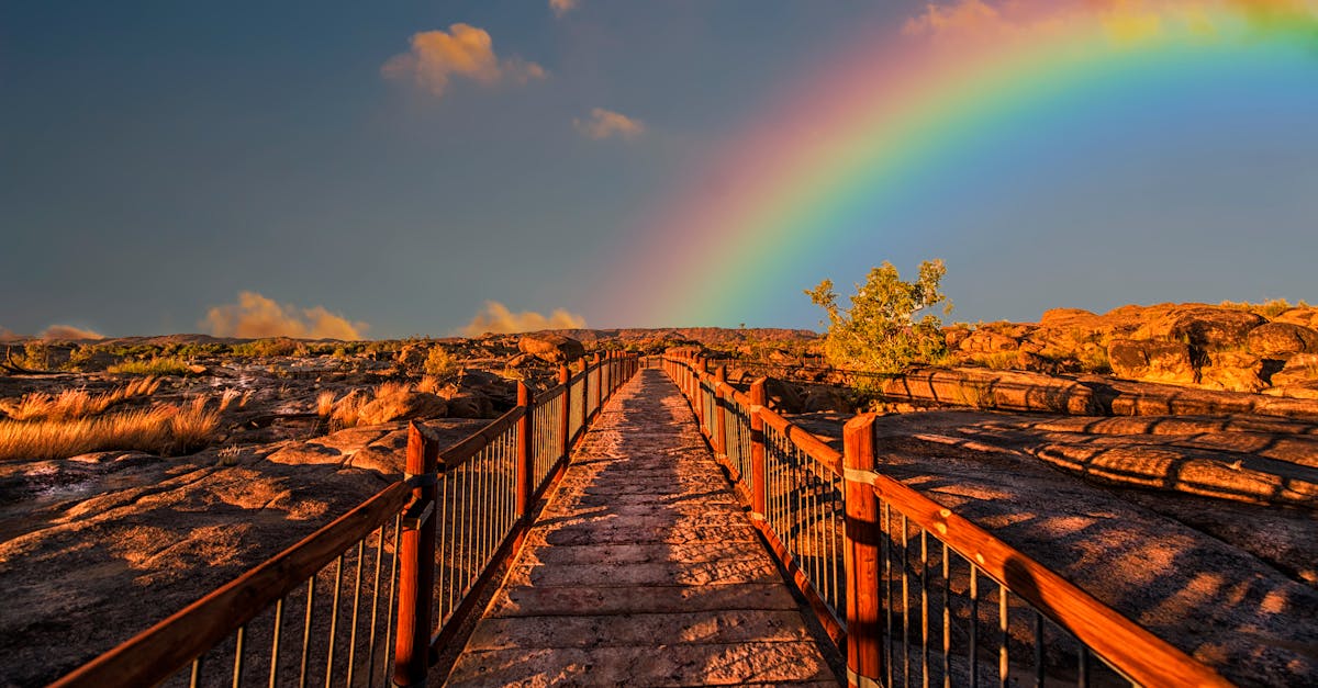 inofolic est un complément alimentaire conçu pour soutenir la fertilité et la santé reproductive grâce à une combinaison optimale d'acide folique et d'inositol.