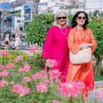 découvrez tout sur le poireau : ses bienfaits pour la santé, ses utilisations culinaires et des recettes savoureuses faciles à réaliser.