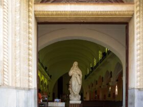 découvrez le parcours et les réalisations de marie denarnaud, une personnalité inspirante reconnue pour son expertise et son engagement.