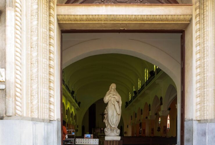 découvrez le parcours et les réalisations de marie denarnaud, une personnalité inspirante reconnue pour son expertise et son engagement.