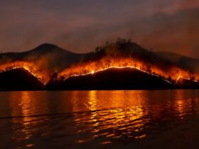 découvrez une analyse profonde des tragédies dans le monde du sport, leurs impacts et les leçons à en tirer pour un avenir plus sûr.
