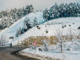 découvrez la courbe de température, un graphique essentiel pour analyser les variations thermiques au fil du temps.