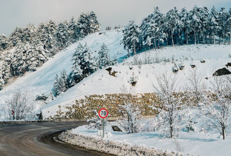 découvrez la courbe de température, un graphique essentiel pour analyser les variations thermiques au fil du temps.