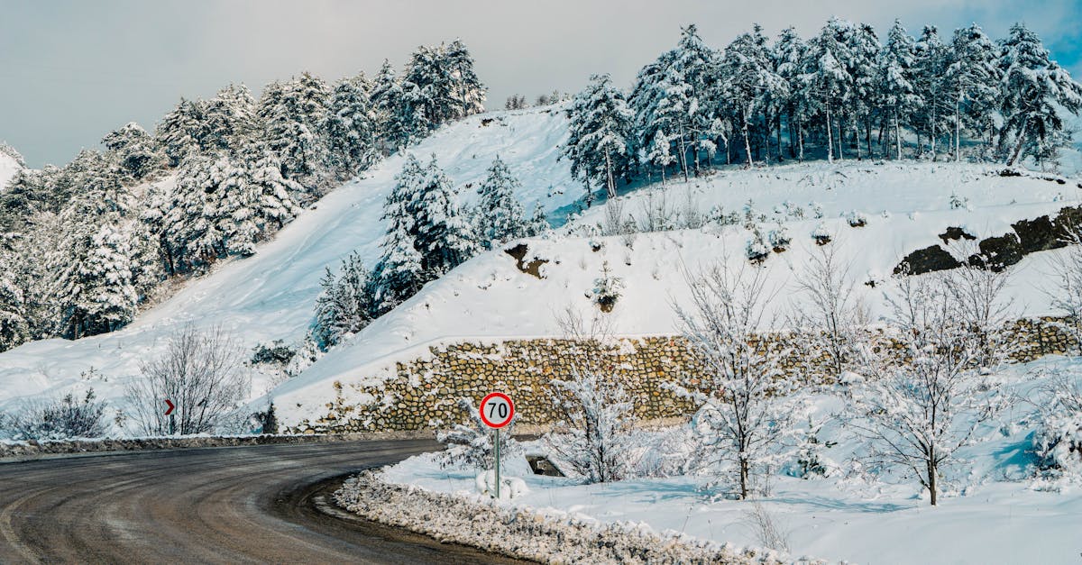 découvrez la courbe de température, un graphique essentiel pour analyser les variations thermiques au fil du temps.