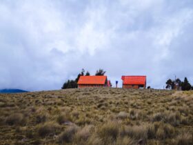 découvrez tout sur l'utérus : définition, fonctions, anatomie et son rôle essentiel dans la reproduction féminine.