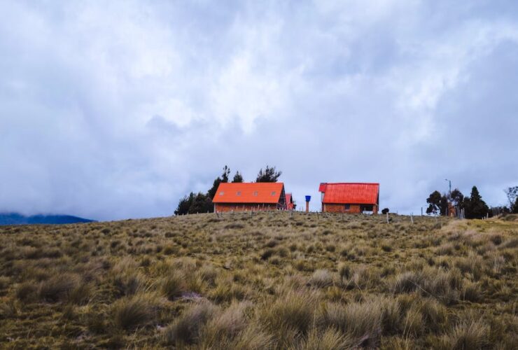 découvrez tout sur l'utérus : définition, fonctions, anatomie et son rôle essentiel dans la reproduction féminine.