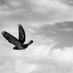 découvrez l'origine et la signification des prénoms vikings pour choisir un nom puissant et authentique inspiré des guerriers nordiques.