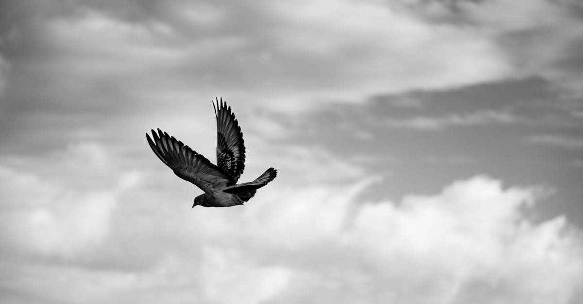 découvrez l'origine et la signification des prénoms vikings pour choisir un nom puissant et authentique inspiré des guerriers nordiques.